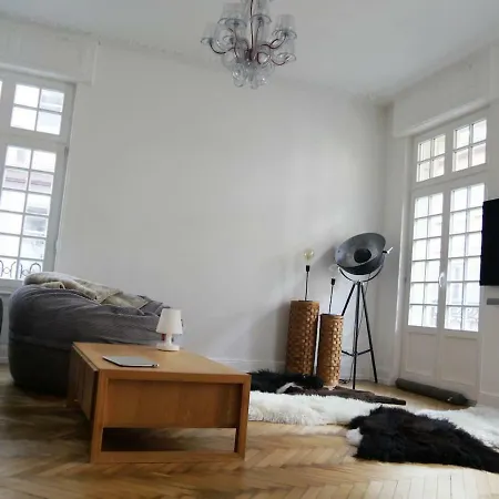 Luxurious Urban Renovated Near Cathedral Straatsburg